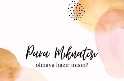 Para mıknatsı